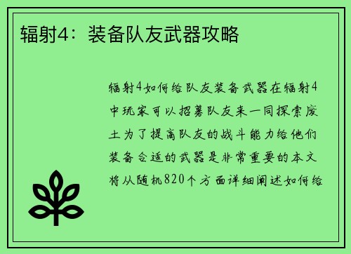 辐射4：装备队友武器攻略